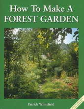 How To Make A Forest Garden